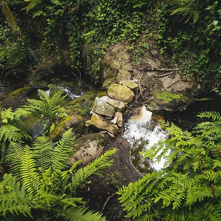 Tatil Evi Casa Do Abade -