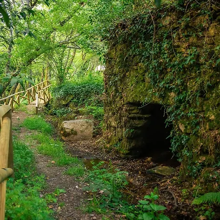 Casa Do Abade - * Viseu