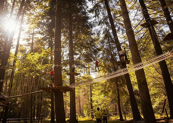 Casa Do Abade - ヴィゼウ