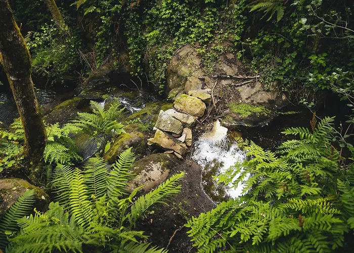 別荘 Casa Do Abade -