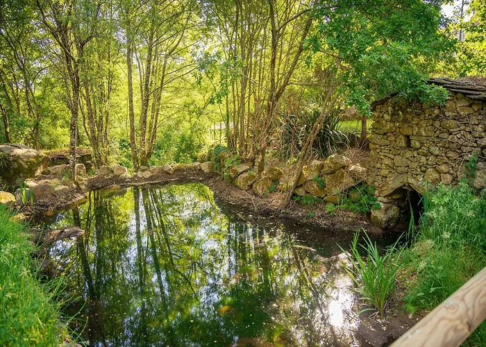 Casa Do Abade - Casa vacanze Viseu